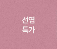 선염특가