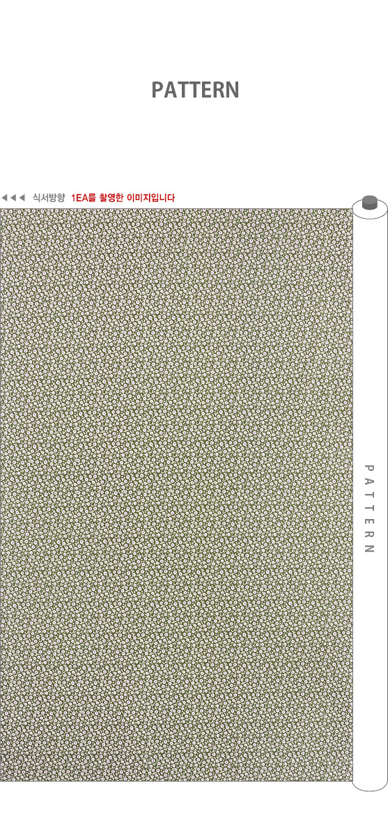 ���� ��ü �̹���