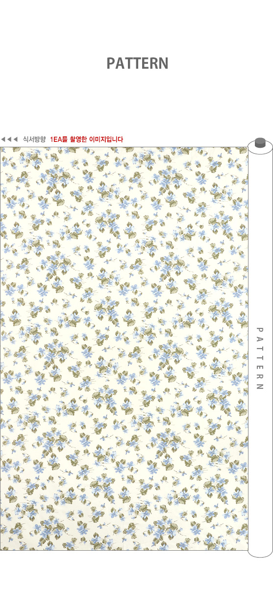 ���� ��ü ������