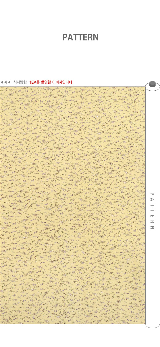 ���� ��ü ������