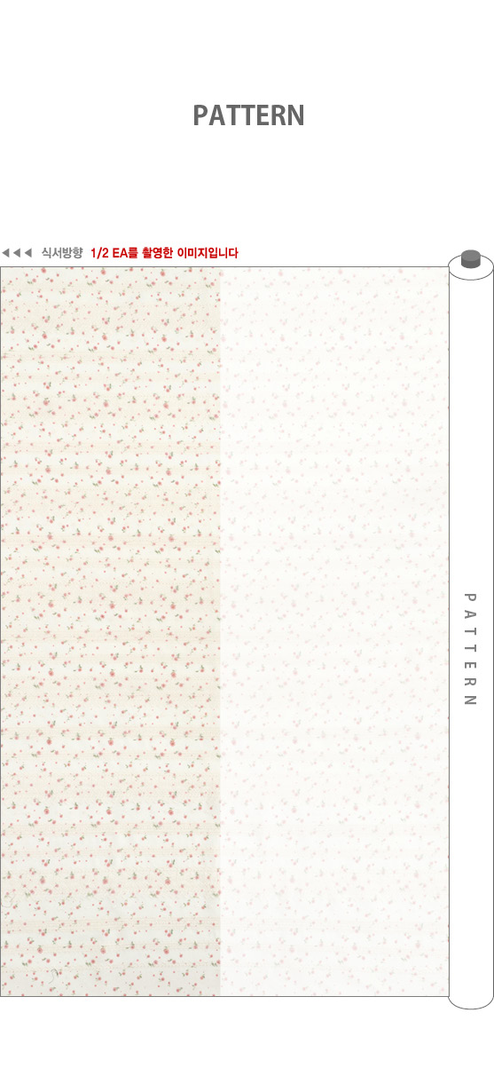 ���� ��ü ������