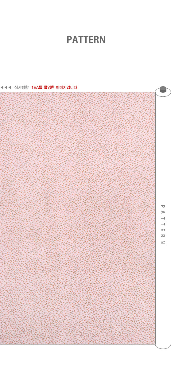 ���� ��ü ������