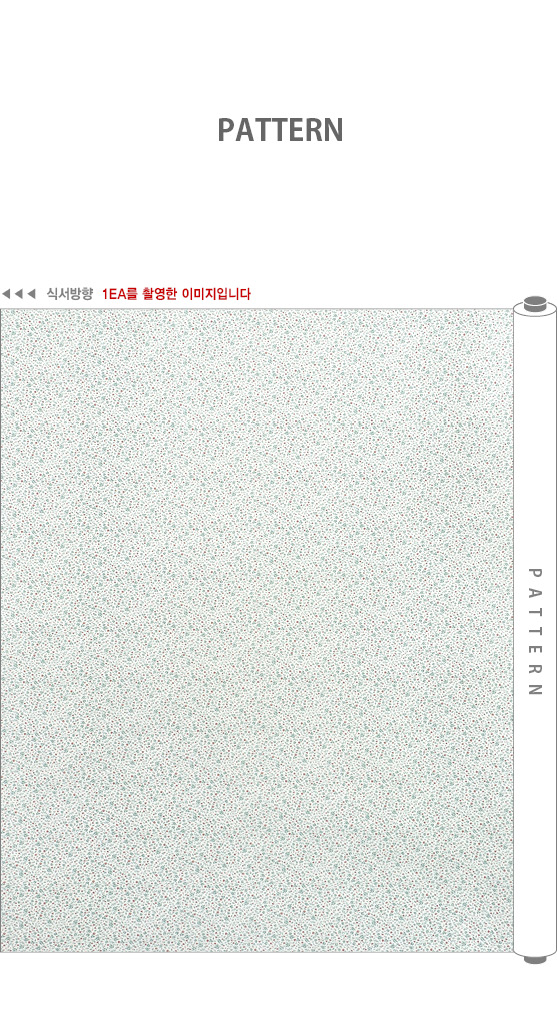 ���� ��ü ������