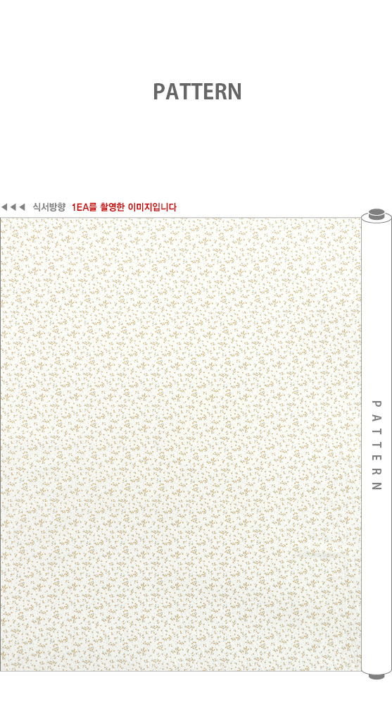 ���� ��ü ������