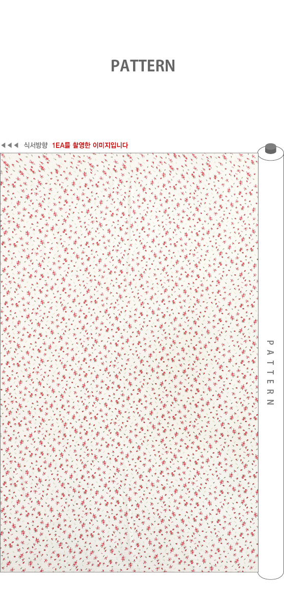 ���� ��ü ������