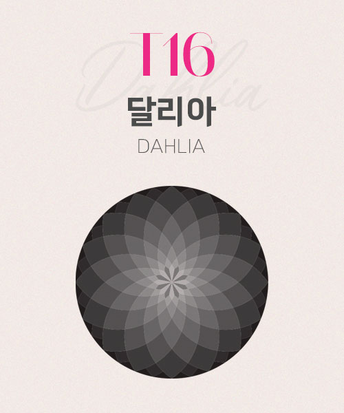67-145 T16 달리아