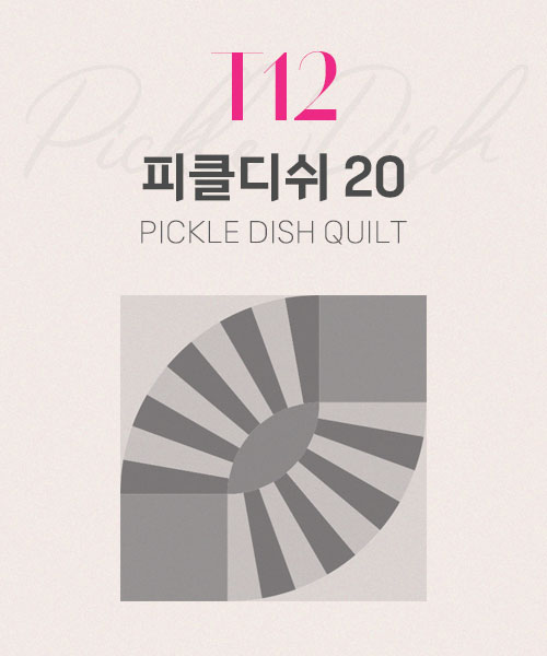 67-149 T12 피클디쉬 20