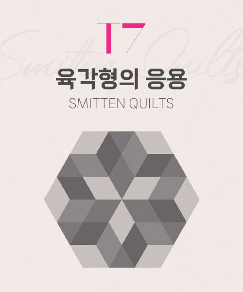 67-154 T7 육각형의 응용